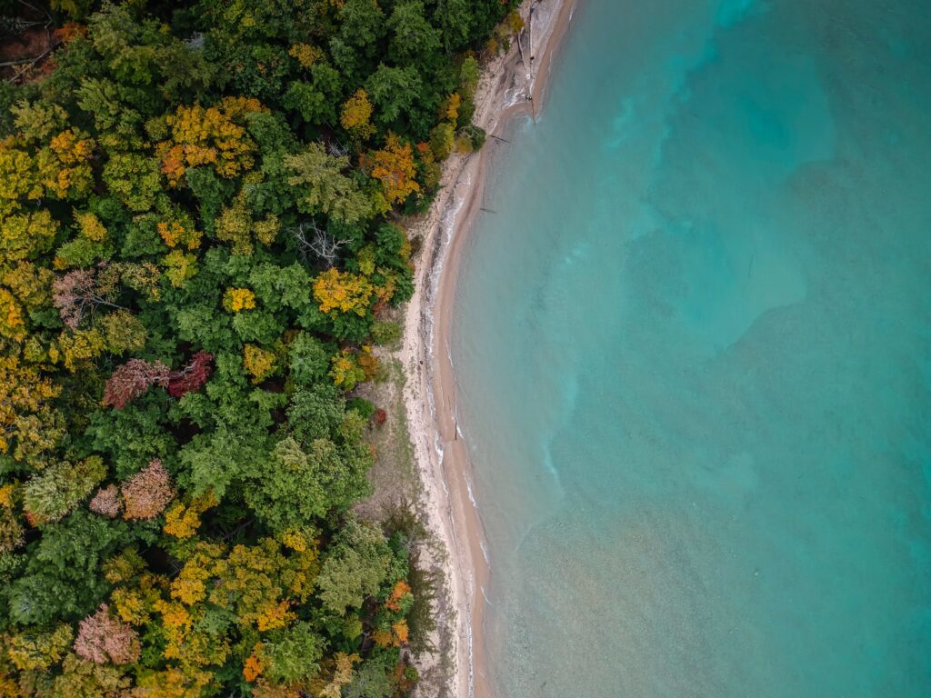 An overhead shot of tropical coastline with sand and trees